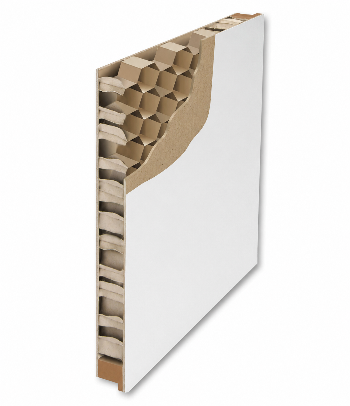 Door leaf cut-away showing the honeycomb core
