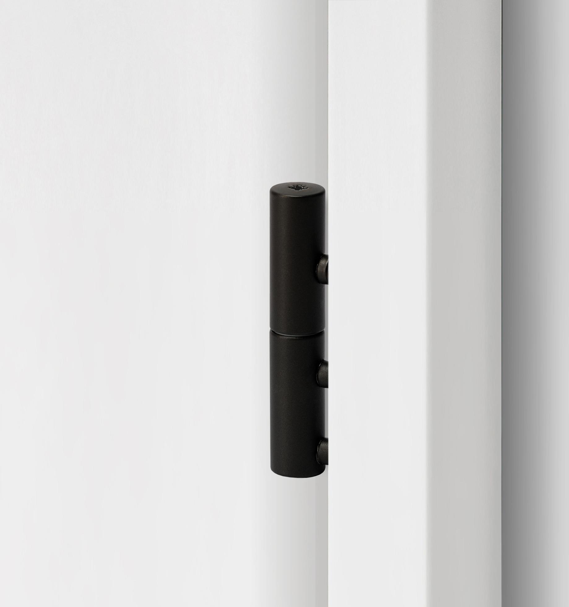 Visible cylindrical hinges on a rebated door